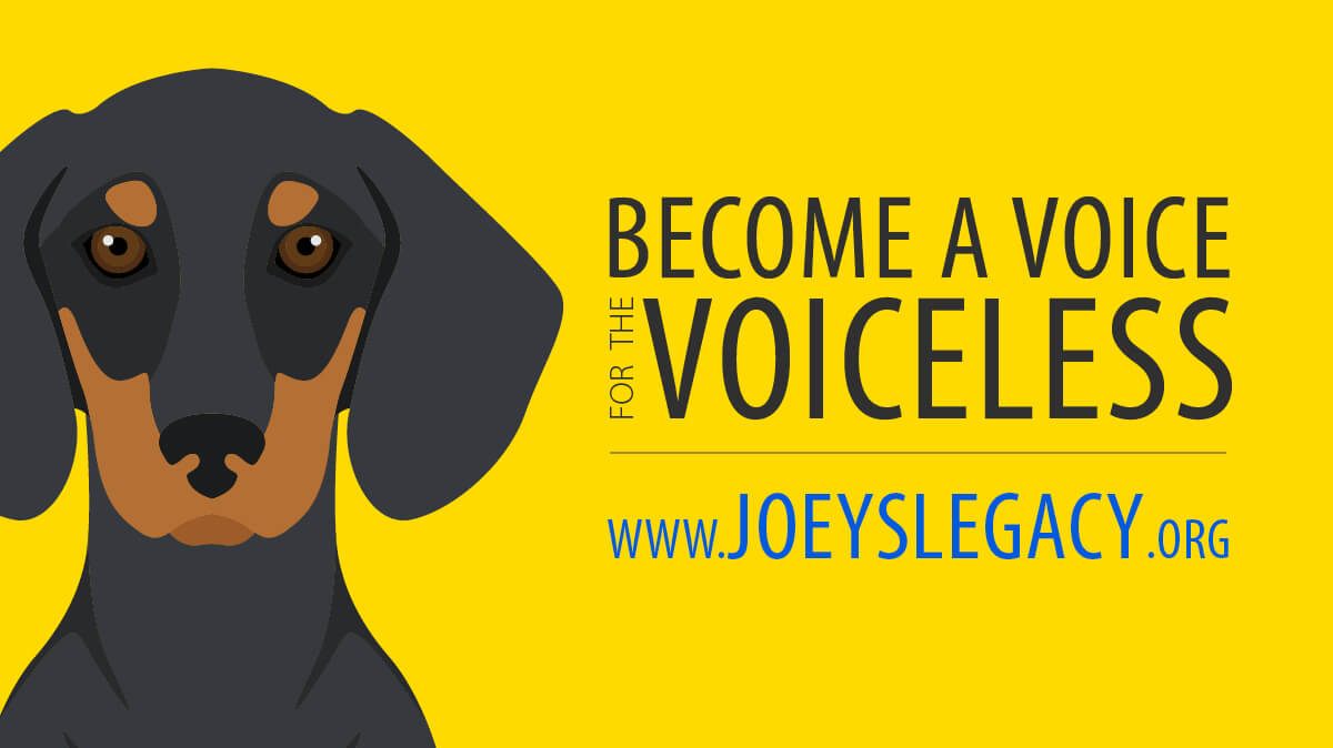 Joey's Legacy Facebook Personal Cover