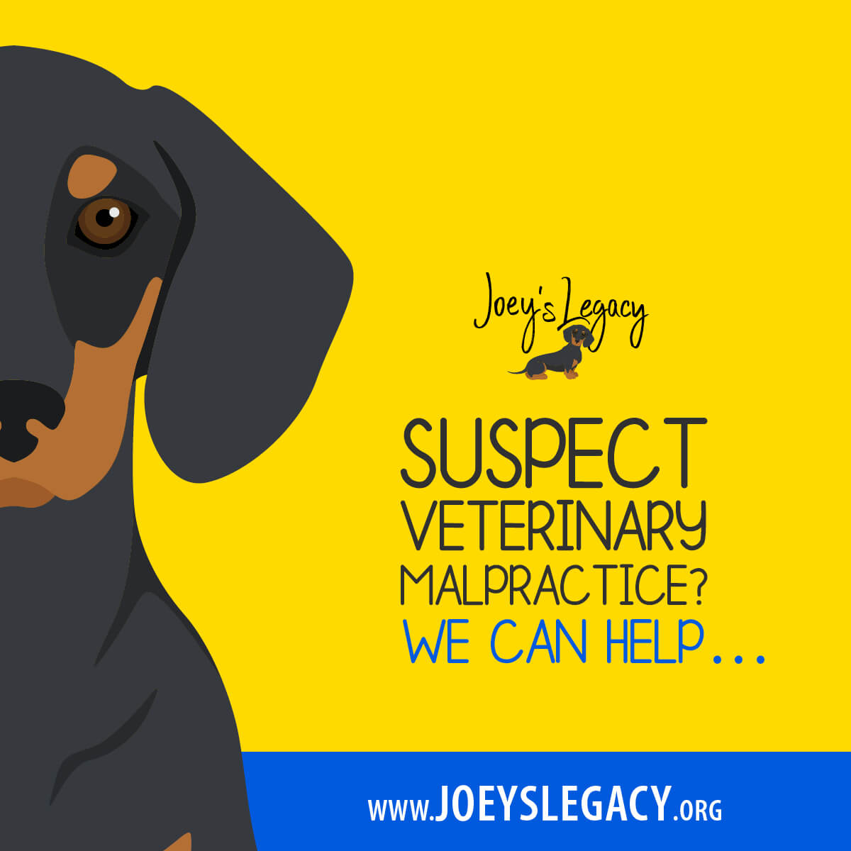 Joey's Legacy Social Media Post Suspect Veterinary Malpractice? We Can Help…
