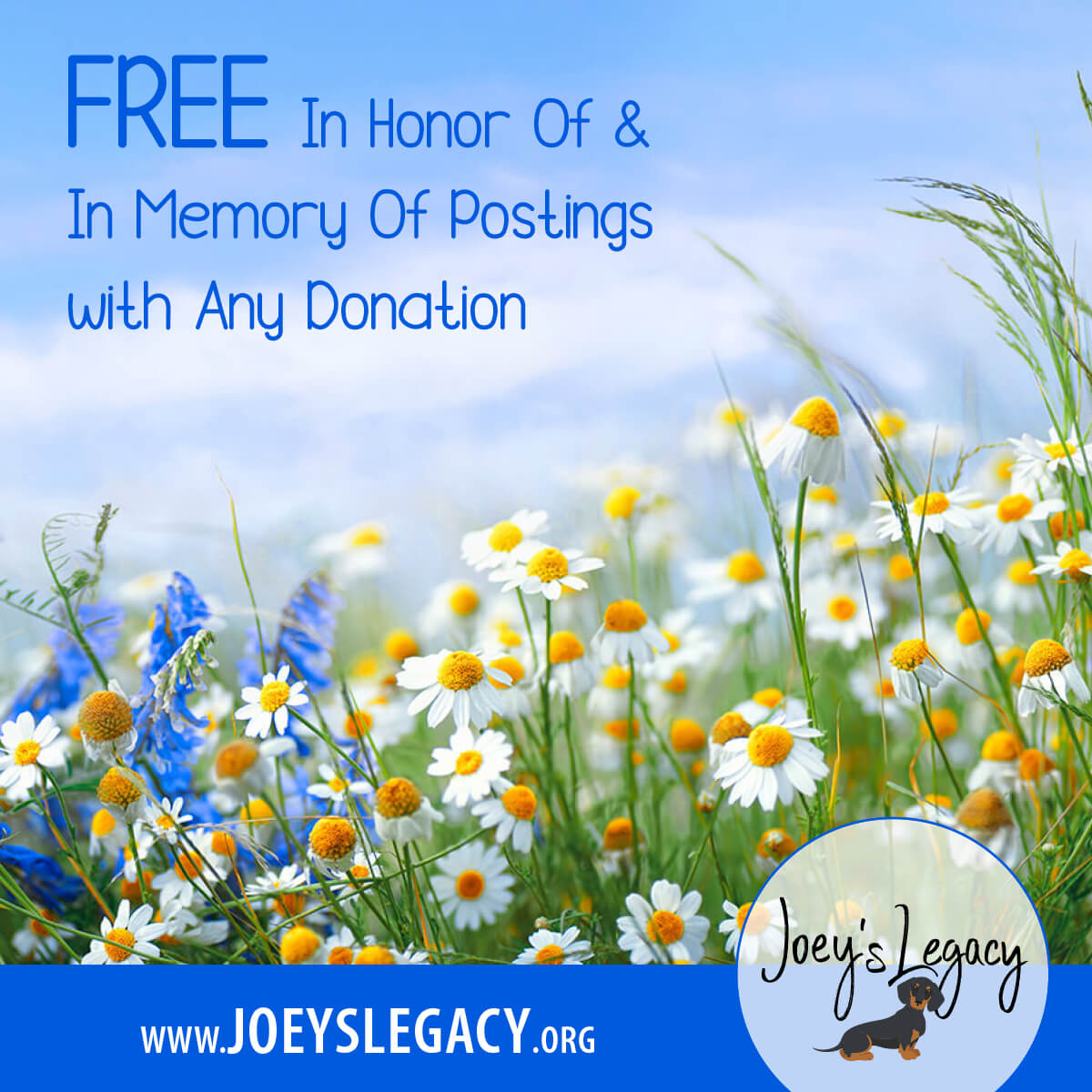 Joey's Legacy Social Media Post Free in honor of and in memory of postings with any donation