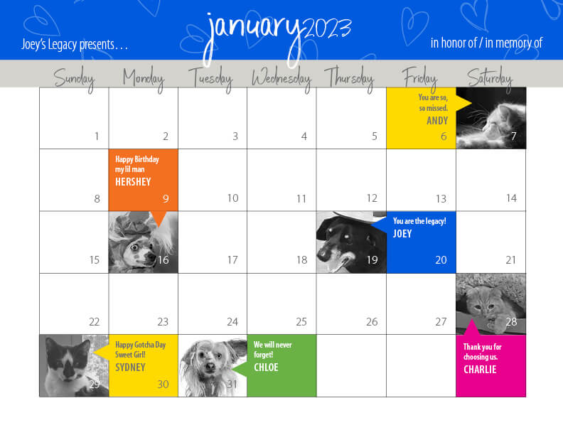 Sample of Joey's News Monthly Calendar for In Honor Of / In Memory Of Special Dates