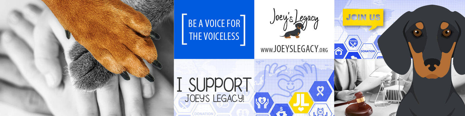 LinkedIn Personal Page Cover Image Supporting Joey's Legacy