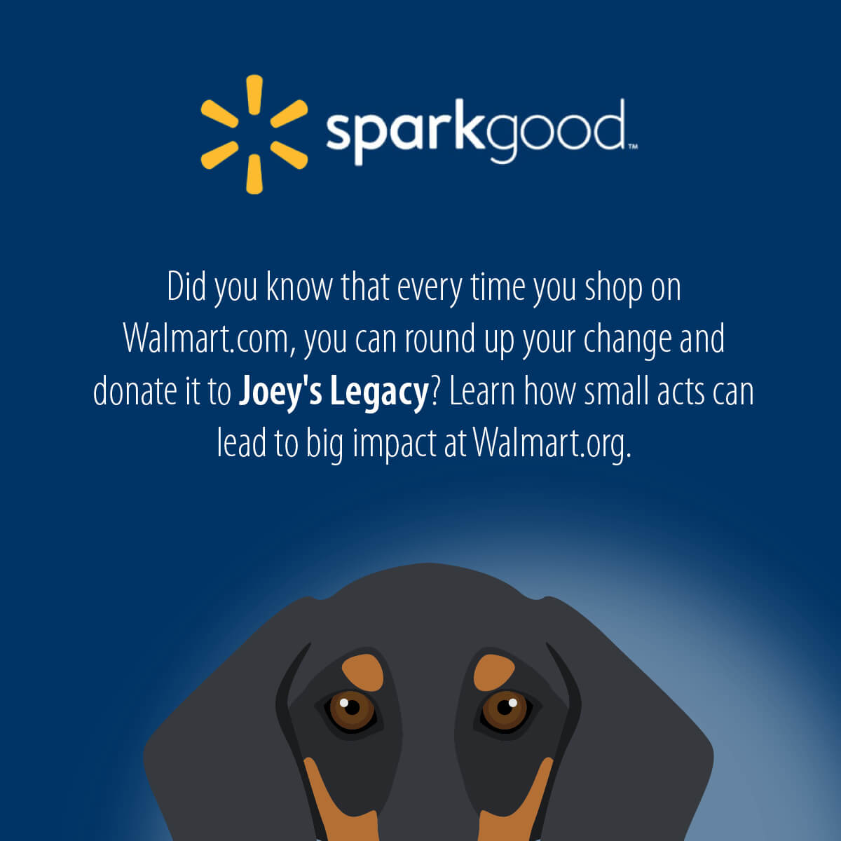 SparkGood program by Walmart. We are a SparkGood charity. Please consider rounding up your Walmart purchases and donate to Joey's Legacy.